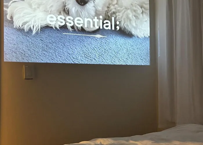 Moon * Seúl
